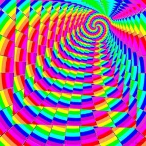 Meet your Posher, Marley